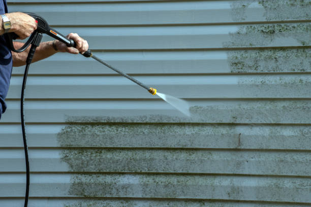 Best Roof Power Washing Services  in Bellwood, VA