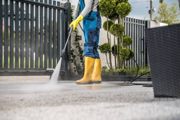 Best Best Pressure Washing Companies  in Bellwood, VA