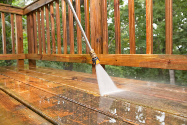 Best Pressure Washing Near Me  in Bellwood, VA