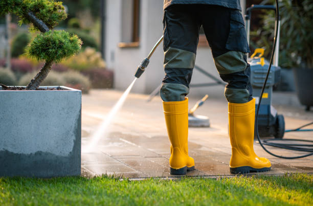 Best House Pressure Washing  in Bellwood, VA